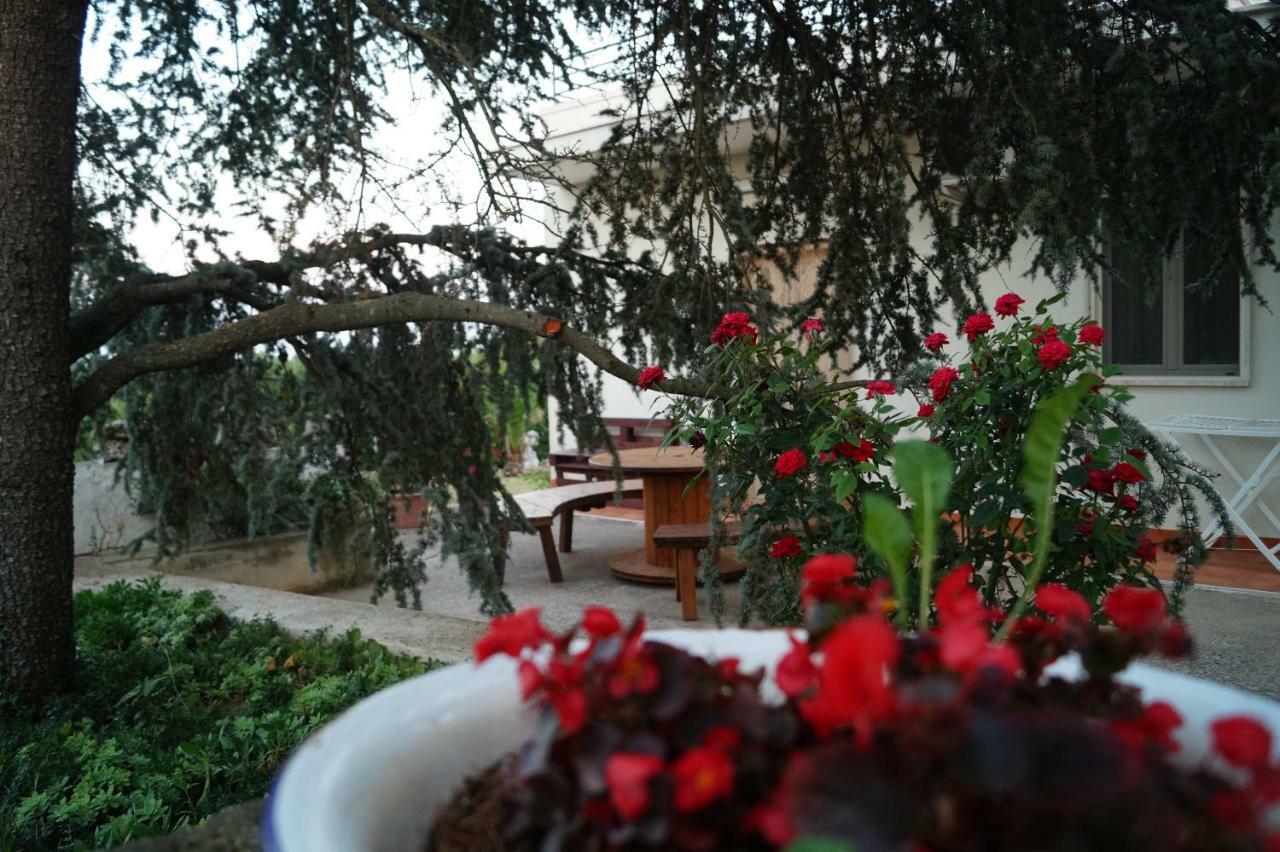 Bed and Breakfast La Casa Del Nonno Альберобелло Экстерьер фото